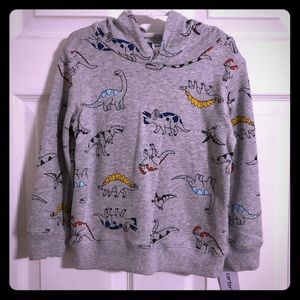 Boys dinosaur hoodie